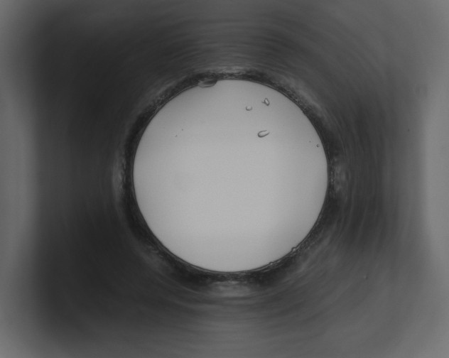 X0000100490544200807111125