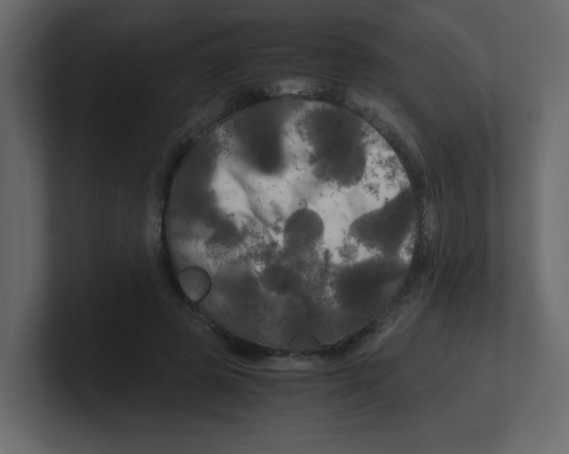 X0000100490545200807111125