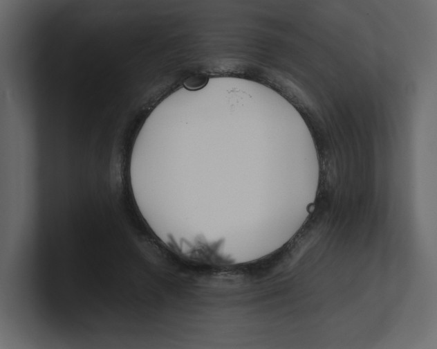 X0000100490546200807111125