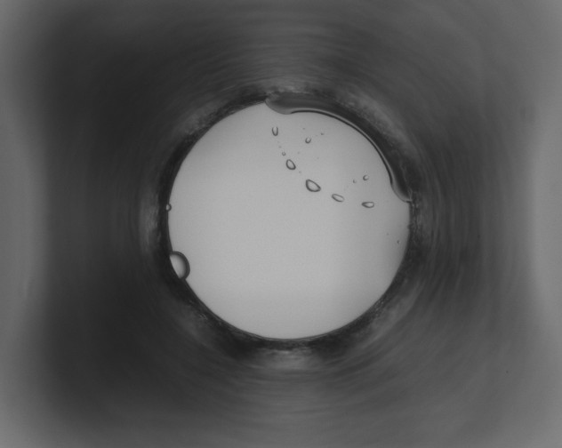 X0000100490548200807111125