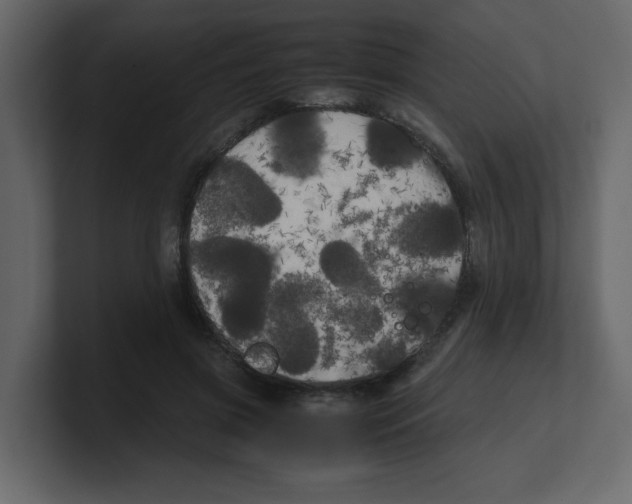 X0000100490549200807111125