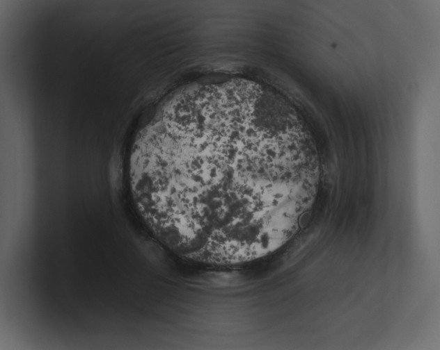 X0000100490552200807111125