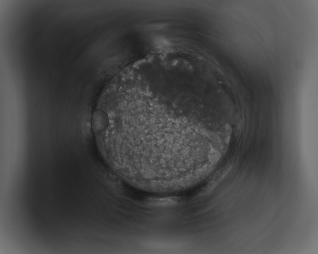 X0000100490553200807111125