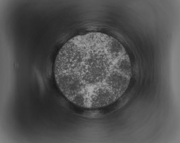 X0000100490554200807111125