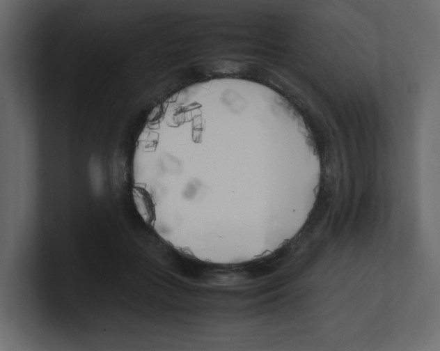 X0000100490555200807111125