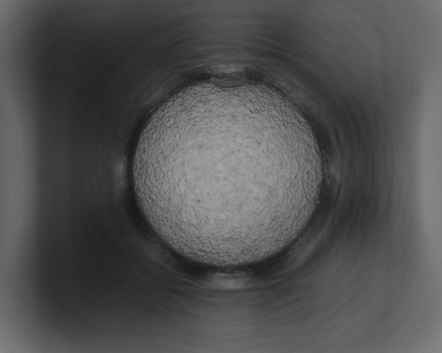 X0000100490556200807111125