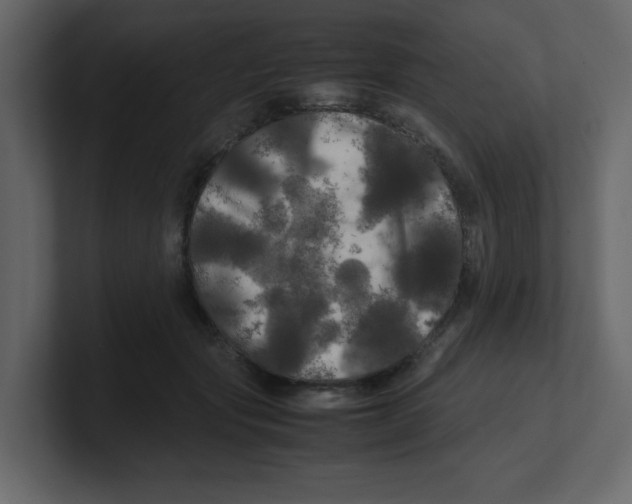 X0000100490557200807111125