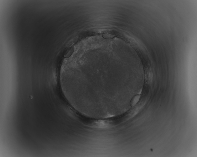 X0000100490558200807111125