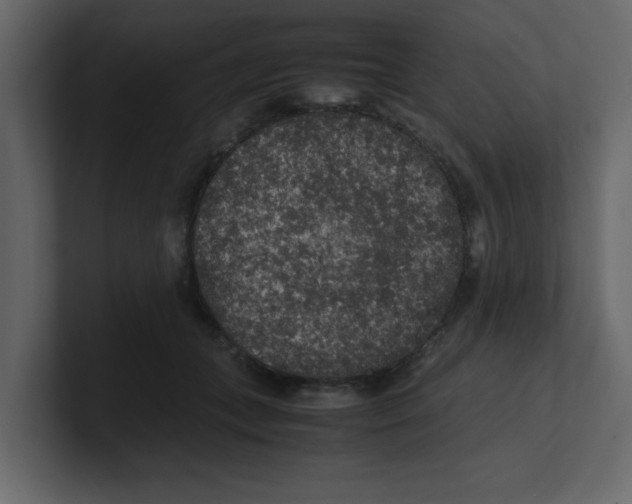 X0000100490559200807111125