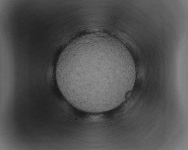 X0000100490560200807111125
