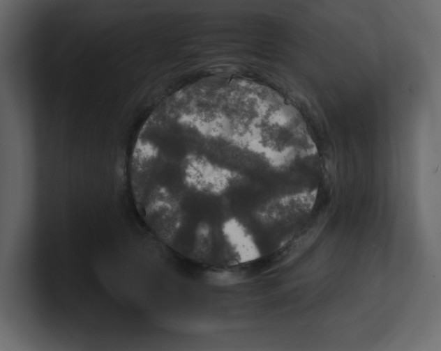X0000100490561200807111125