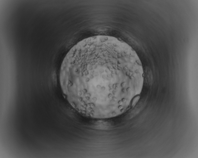 X0000100490562200807111125