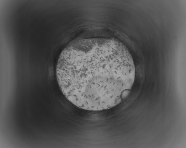 X0000100490564200807111125
