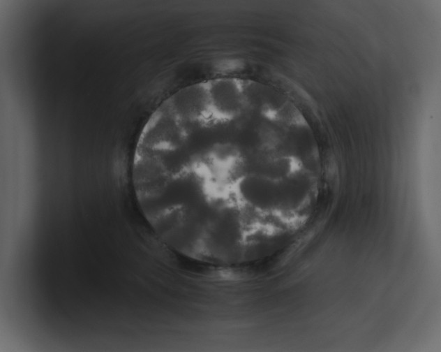 X0000100490565200807111125