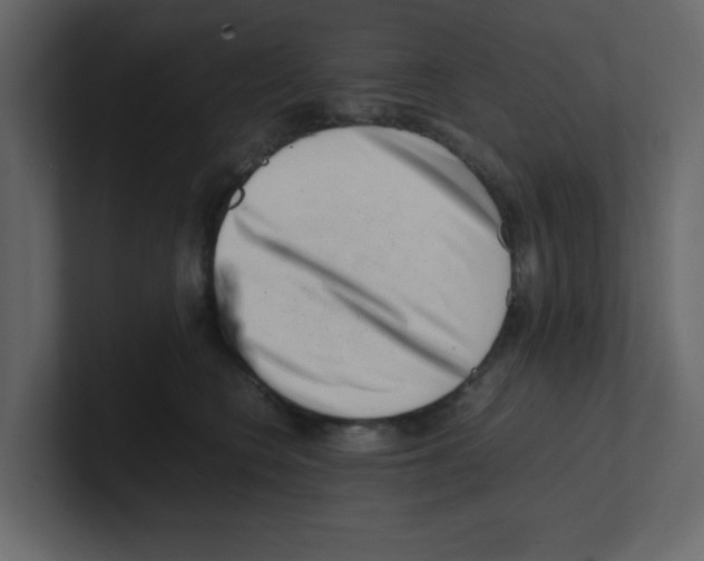 X0000100490566200807111125