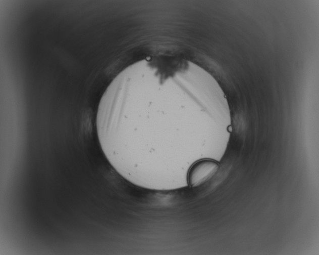 X0000100490570200807111125