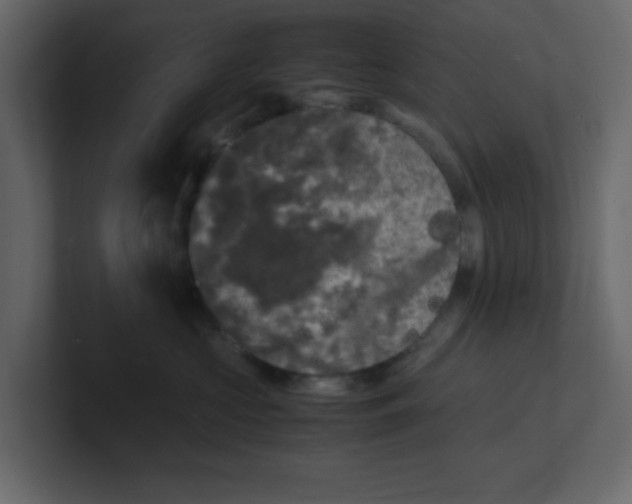 X0000100490573200807111125