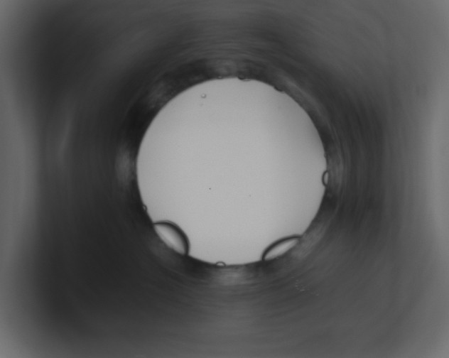 X0000100490574200807111125