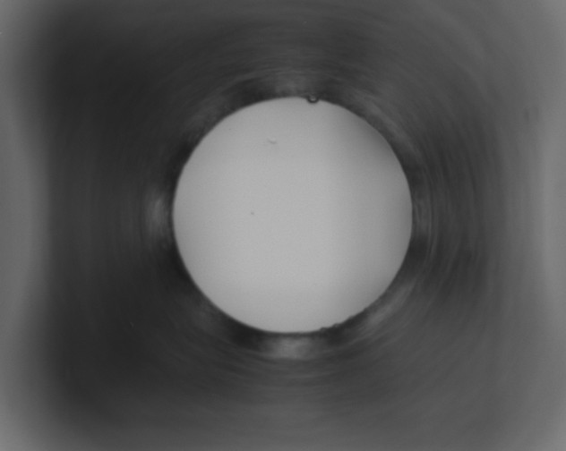 X0000100490575200807111125