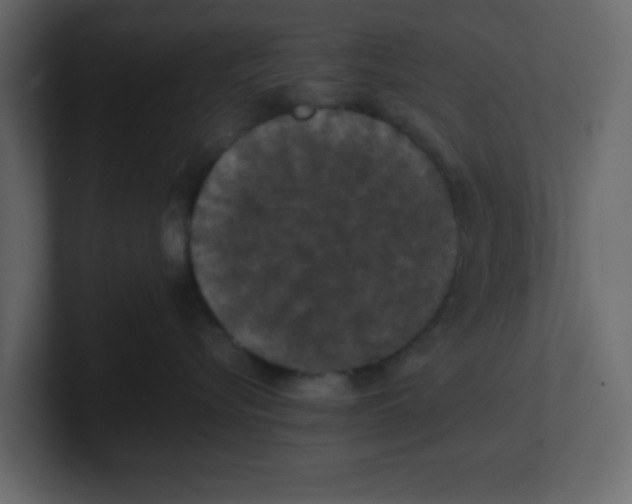 X0000100490576200807111125