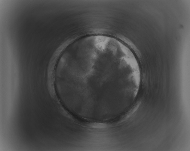 X0000100490577200807111124