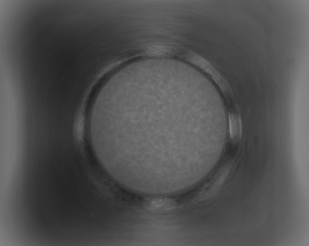 X0000100490579200807111124
