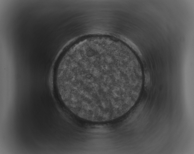 X0000100490580200807111124