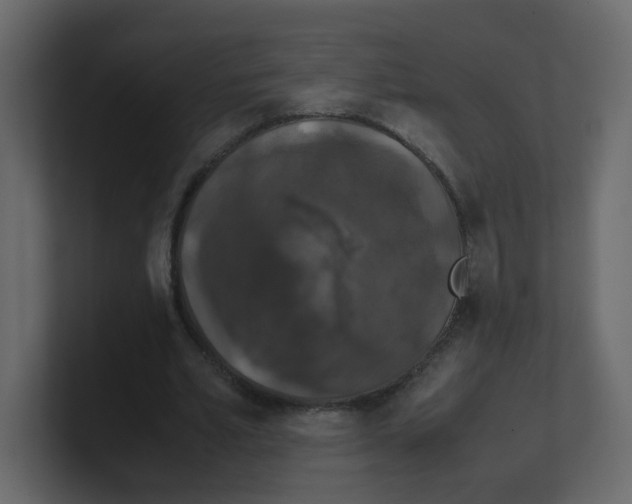 X0000100490581200807111124