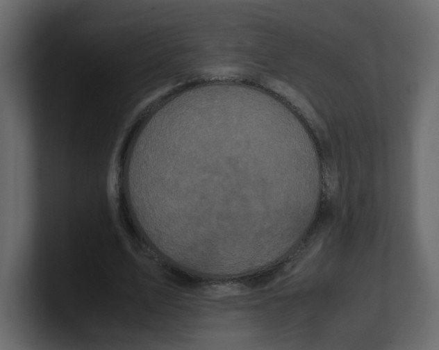 X0000100490583200807111124