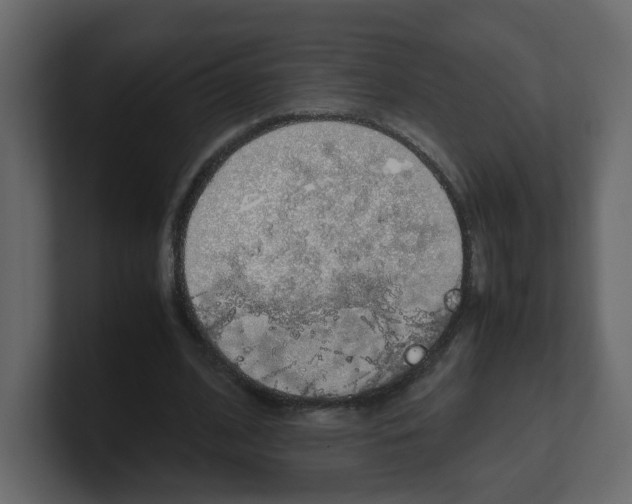 X0000100490584200807111124