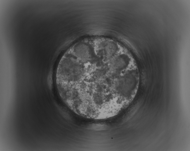X0000100490586200807111124