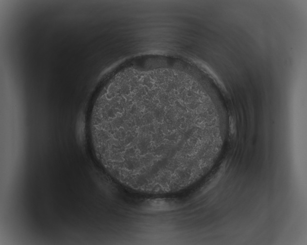 X0000100490588200807111124