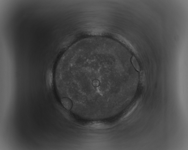 X0000100490589200807111124