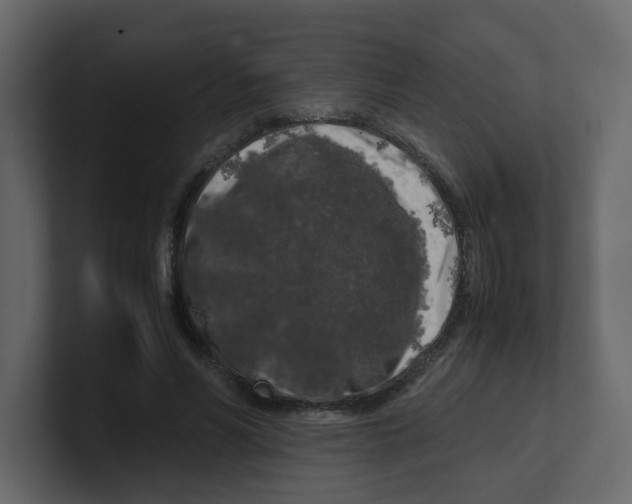 X0000100490590200807111124