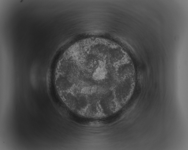X0000100490591200807111124