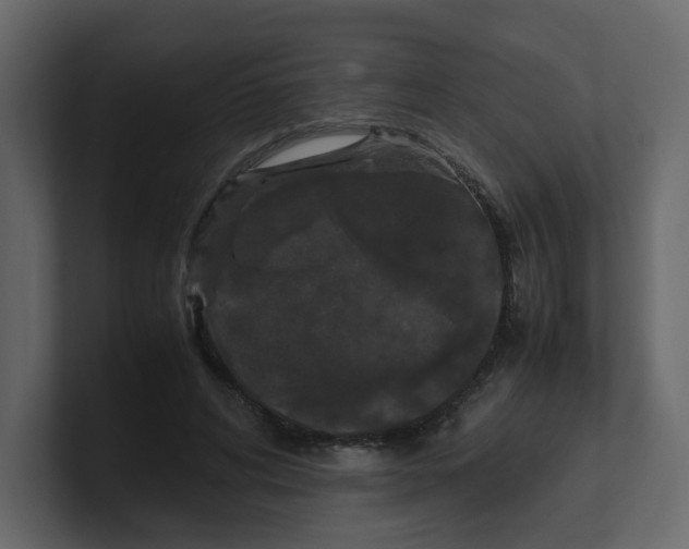 X0000100490592200807111124