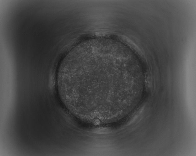 X0000100490593200807111124