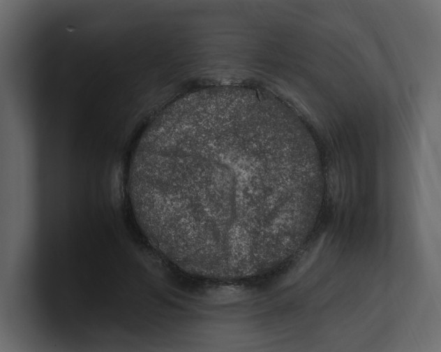 X0000100490594200807111124
