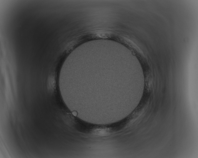 X0000100490595200807111124