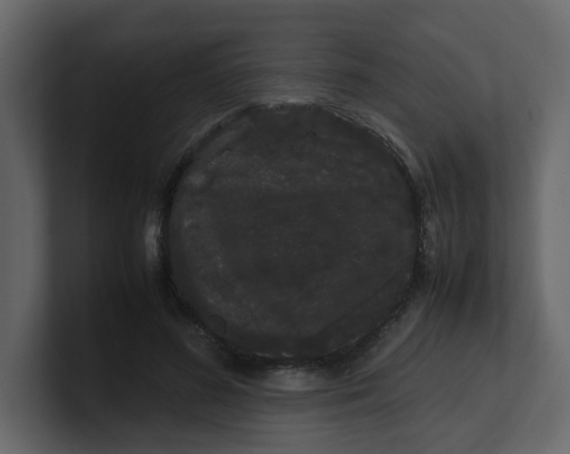 X0000100490596200807111124