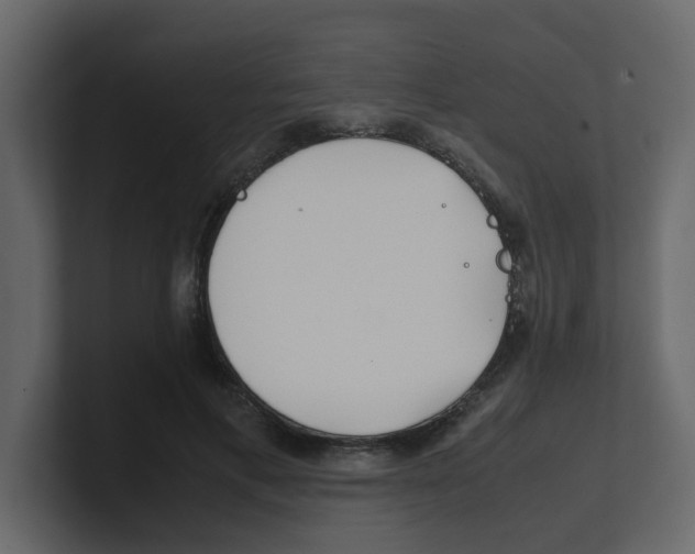 X0000100490597200807111124