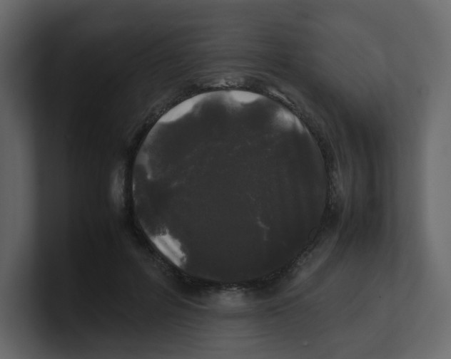X0000100490600200807111124