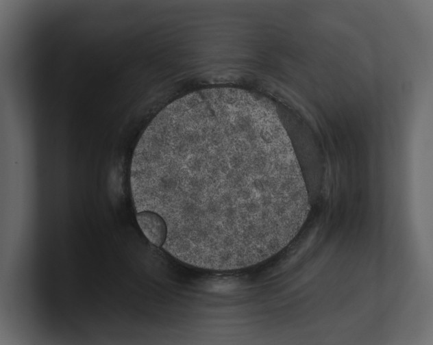 X0000100490604200807111124