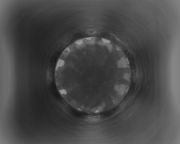X0000100490606200807111124