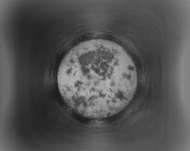 X0000100490607200807111124