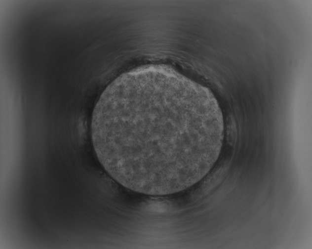 X0000100490608200807111124