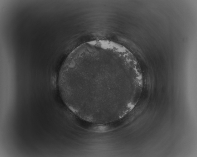 X0000100490610200807111124