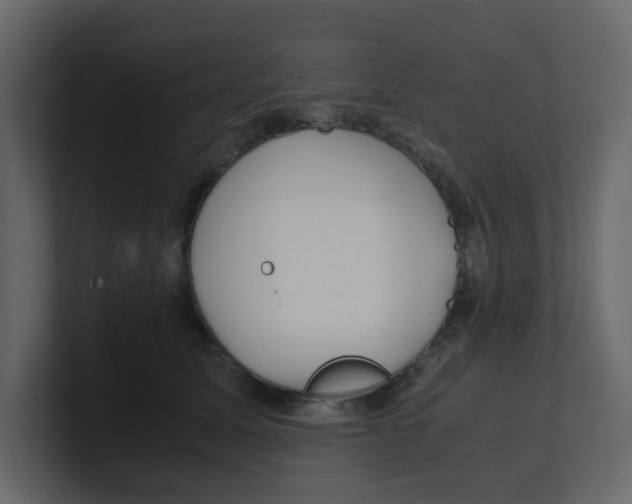 X0000100490611200807111124