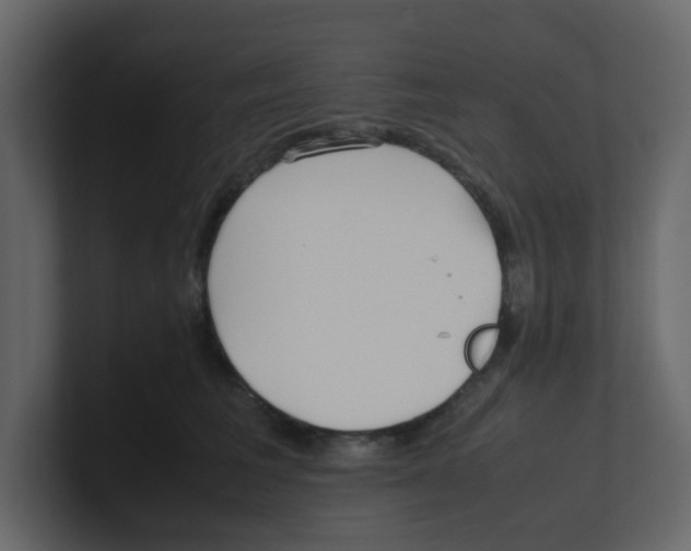 X0000100490613200807111124
