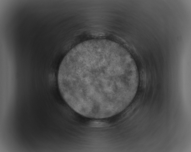 X0000100490614200807111124